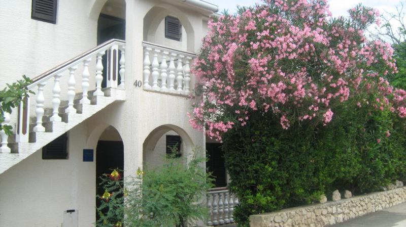 Apartments Mint Povljana - 50M From Sandy Beach מראה חיצוני תמונה
